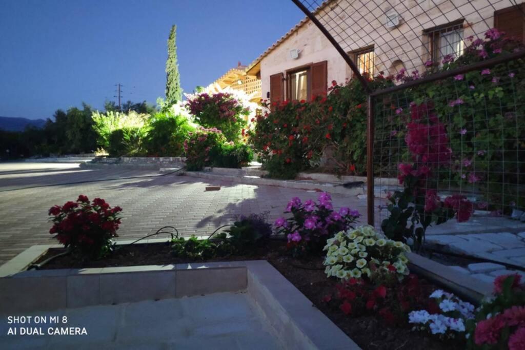 Stonehouse Olivelia - Afrathias Beach 팀파키 외부 사진